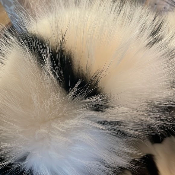 Fully fur lined parka with huge removal fur hood S/M coat like Jocelyn brand - Picture 3 of 5